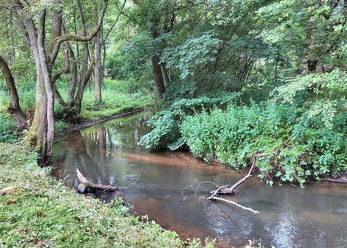 Dwor W Bychowie База отдыха